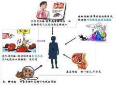 可你们知道的是出血热的传染途径有哪些吗？